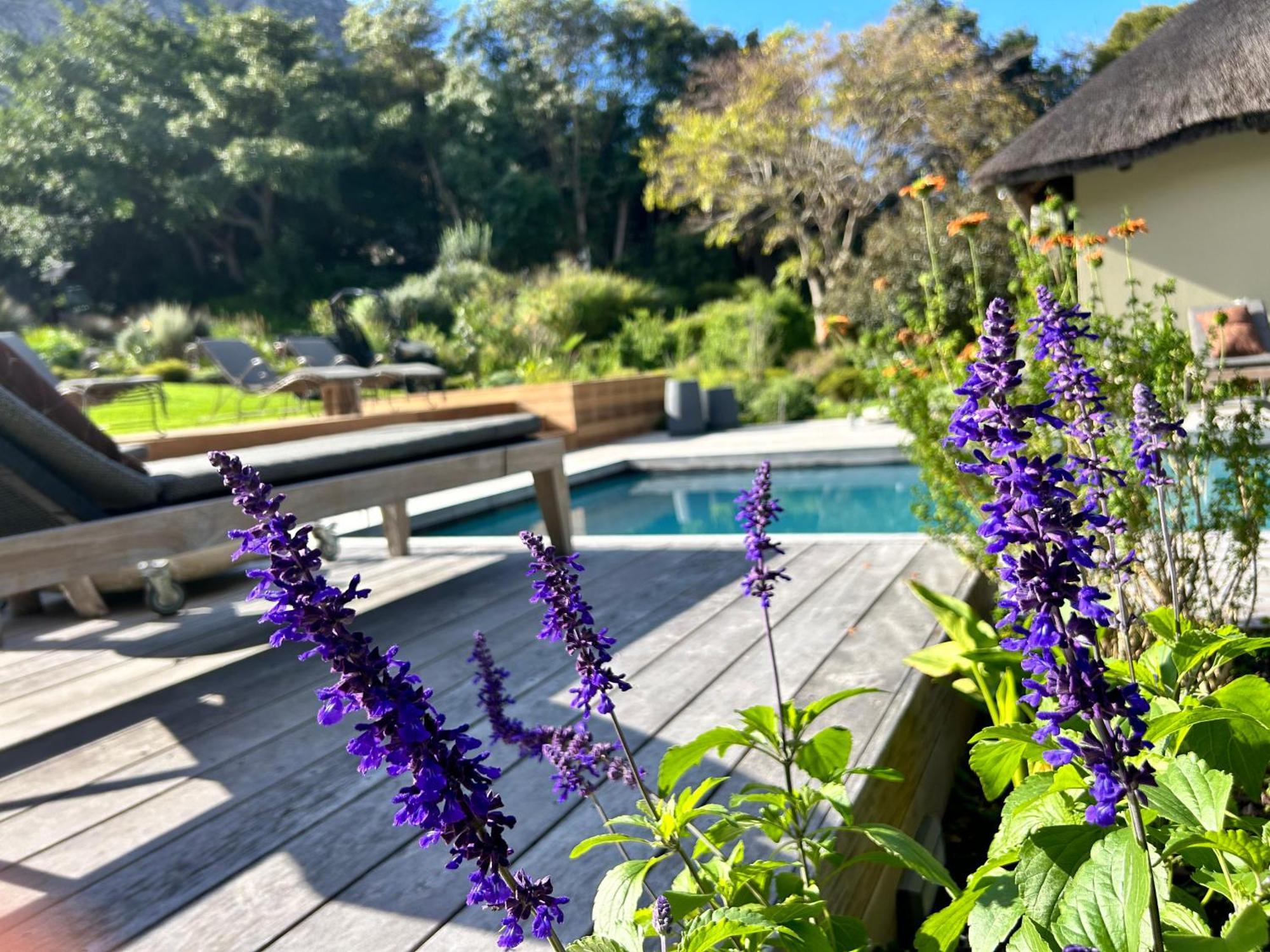The Thatch House Boutique Hotel, Hermanus Exteriér fotografie