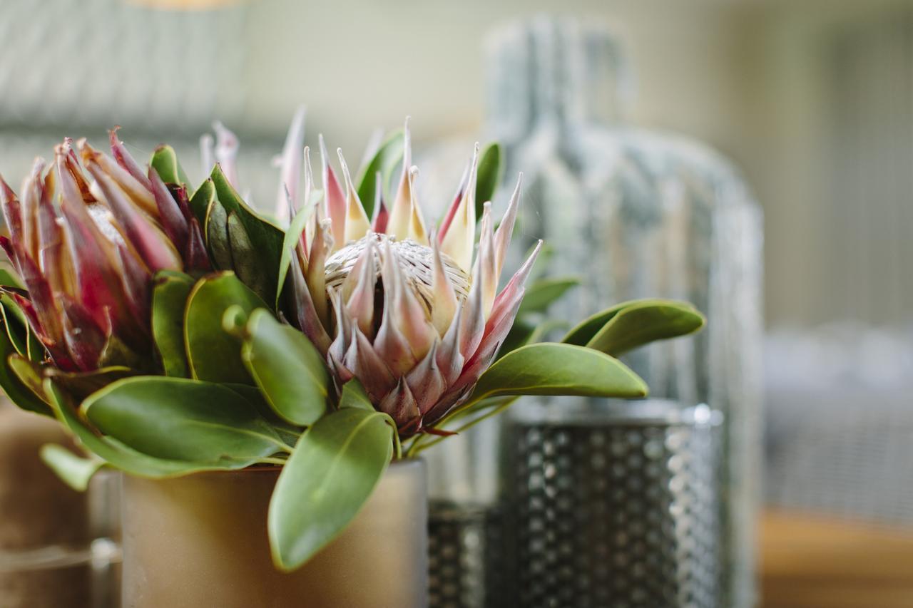The Thatch House Boutique Hotel, Hermanus Exteriér fotografie