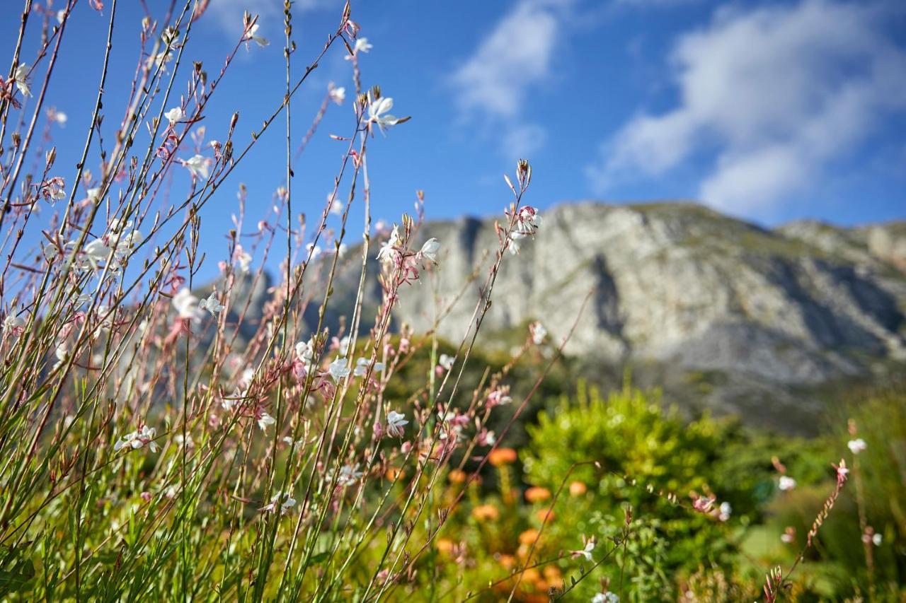 The Thatch House Boutique Hotel, Hermanus Exteriér fotografie